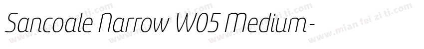 Sancoale Narrow W05 Medium字体转换